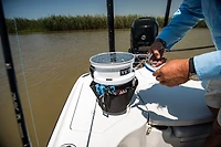 Cuda 7.25 in TI Alloy Pliers