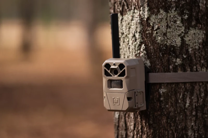 Moultrie Edge 2 Cellular Trail Camera 2-Pack