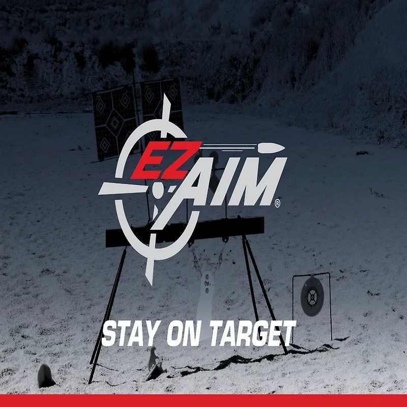 Allen Company EZ Aim Handgun Games Shooting Target and Backer