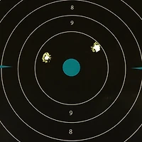 Girls With Guns 12 in W x 12 in H Adhesive Splash Reactive Paper Shooting Targets 5-Pack