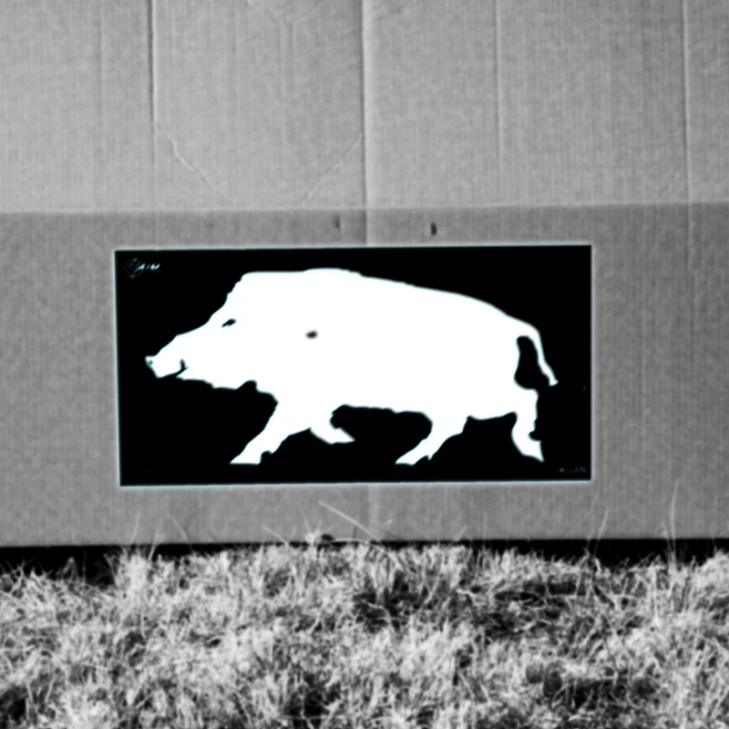 Allen Company EZ Aim Thermal ID Boar Paper Target