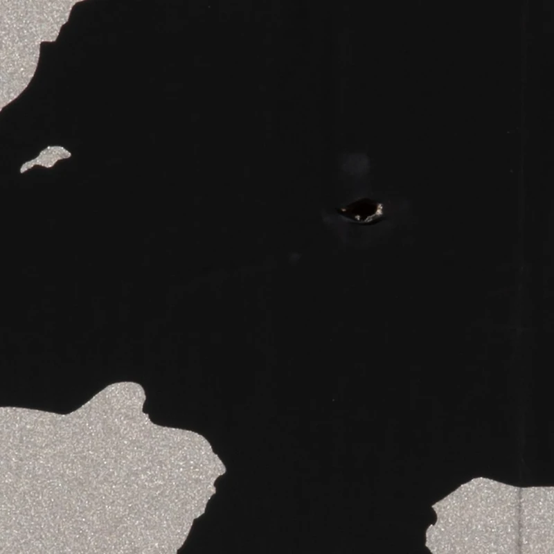 Allen Company EZ Aim Thermal ID Boar Paper Target