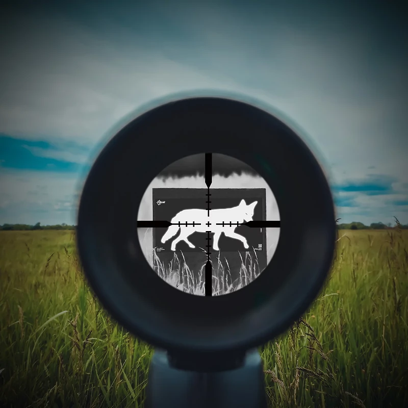 Allen Company EZ Aim Thermal ID Coyote Paper Target
