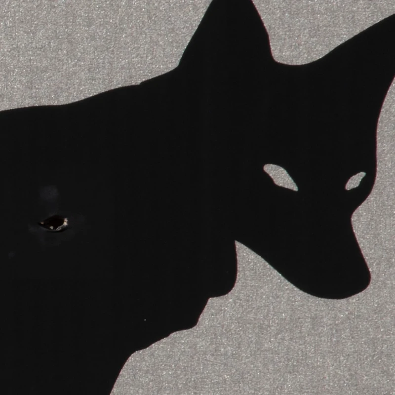 Allen Company EZ Aim Thermal ID Coyote Paper Target