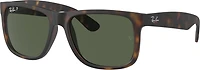 Ray-Ban Men's Justin Polarized Square Sunglasses