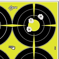 Allen Company EZ Aim Splash 12 in W x in H Reactive Paper Shooting Targets -Pack