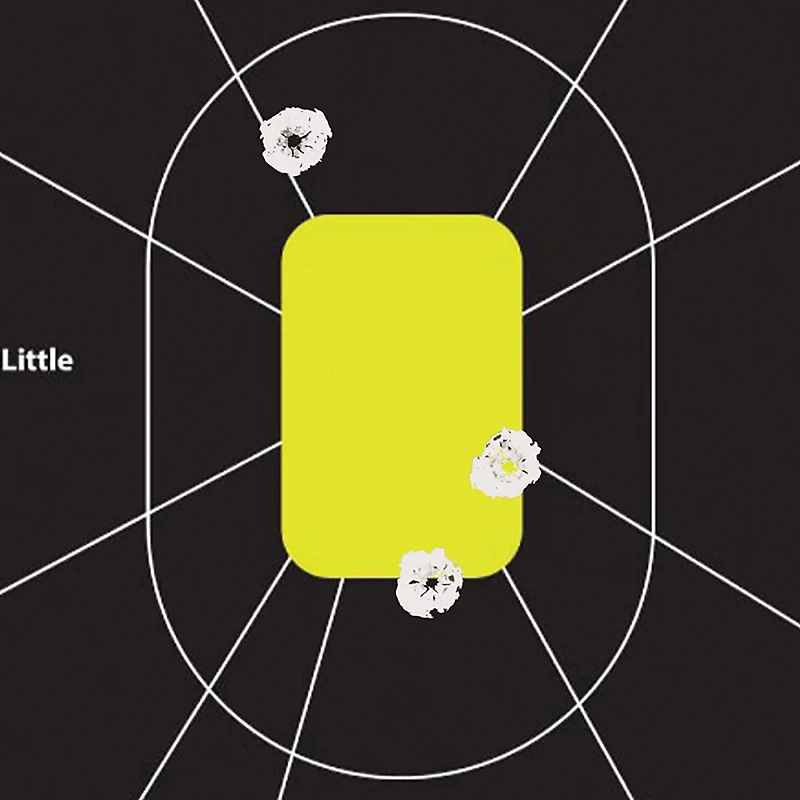 Allen Company EZ Aim Splash 12 in W x 18 in H Reactive Shooting Targets 8-Pack