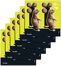 Allen Company EZ Aim Splash 8 in W x 8 in H Reactive Paper Shooting Targets 6-Pack
