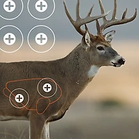 Allen Company EZ Aim Splash 24 in W x 13 in H Reactive Paper Shooting Targets 3-Pack