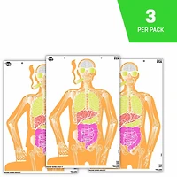 Allen Company EZ Aim Fun Makin' Bones About It Silhouette Paper Shooting Targets 3-Pack