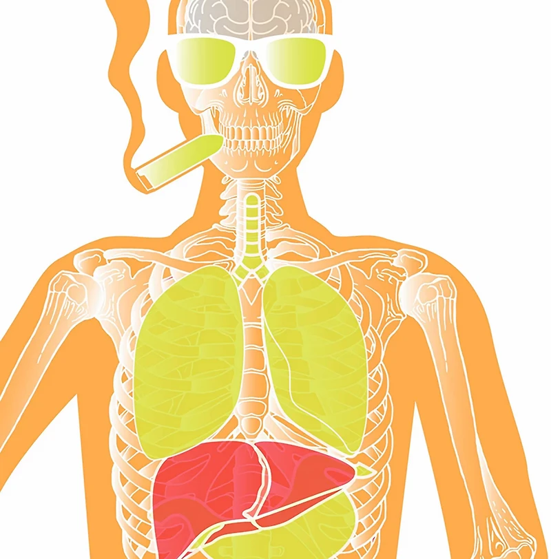 Allen Company EZ Aim Fun Makin' Bones About It Silhouette Paper Shooting Targets 3-Pack