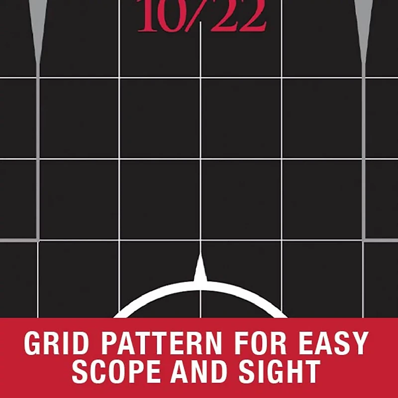 Allen Company Ruger 10/22 Splash Reactive Adhesive Paper Targets 5-Pack