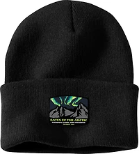 Carhartt Men's Knit Cuffed Gates of the Arctic National Park Patch Beanie