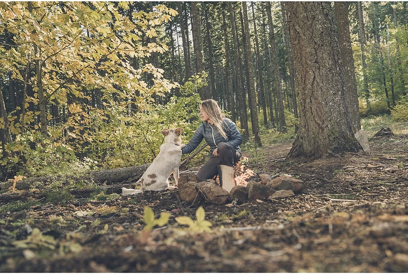 Gerber Ayako Folding Knife