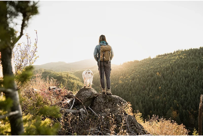 Gerber Ayako Folding Knife