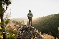 Gerber Ayako Folding Knife