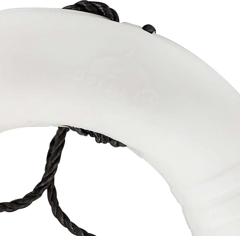 Dock Edge 20 in Life Ring