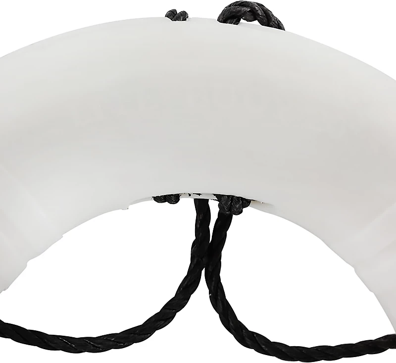 Dock Edge 20 in Life Ring