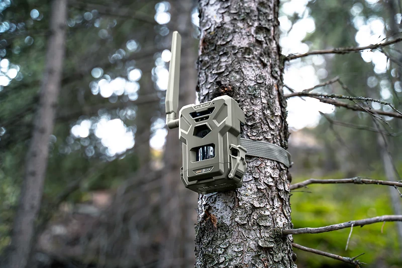 SpyPoint Flex-M Twin Pack with SD Cards