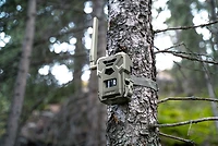 SpyPoint Flex-M Twin Pack with SD Cards