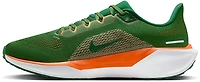 Nike Adult's Florida A&M Rattlers Zoom Pegasus 41 Running Shoes