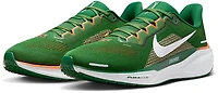 Nike Adult's Florida A&M Rattlers Zoom Pegasus 41 Running Shoes