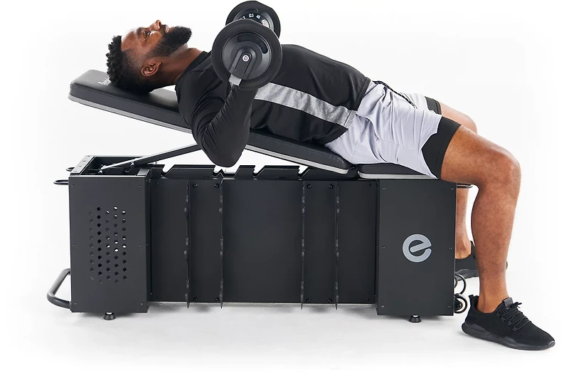 Echelon Strength Storage Bench