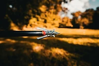 RAGE Hypodermic Trypan NC Crossbow Bolt - 3 Pack