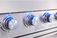 Big Horn 6-Burner Propane Gas Grill Island