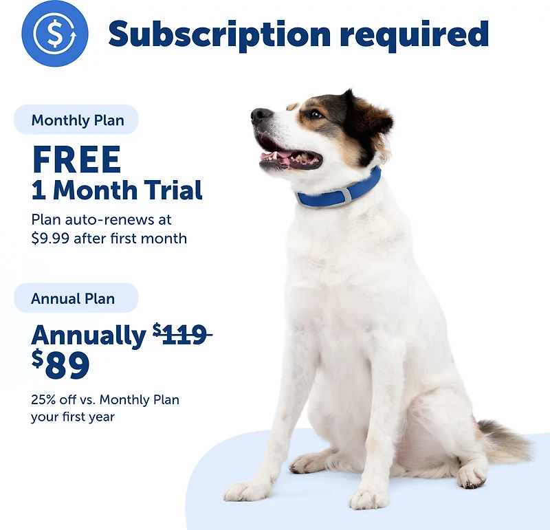 Guardian Pet Safe GPS and Tracking Dog Fence Collar