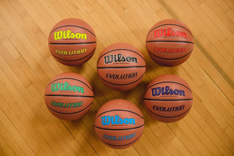 Wilson Evolution Indoor Game Basketball