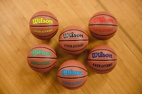 Wilson Evolution Indoor Game Basketball