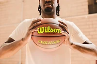 Wilson Evolution Indoor Game Basketball