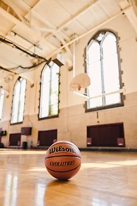 Wilson Evolution Indoor Basketball
