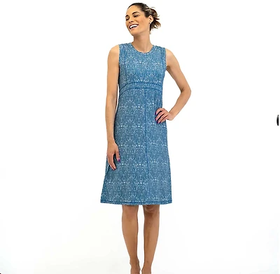 Dakini Women's Seamed Bodice Print Dress