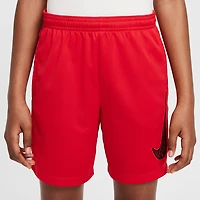 Nike Boys' Trophy GFX Shorts