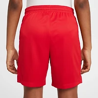 Nike Boys' Trophy GFX Shorts