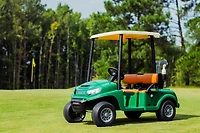 Dynacraft 24V Golf Cart Ride-On