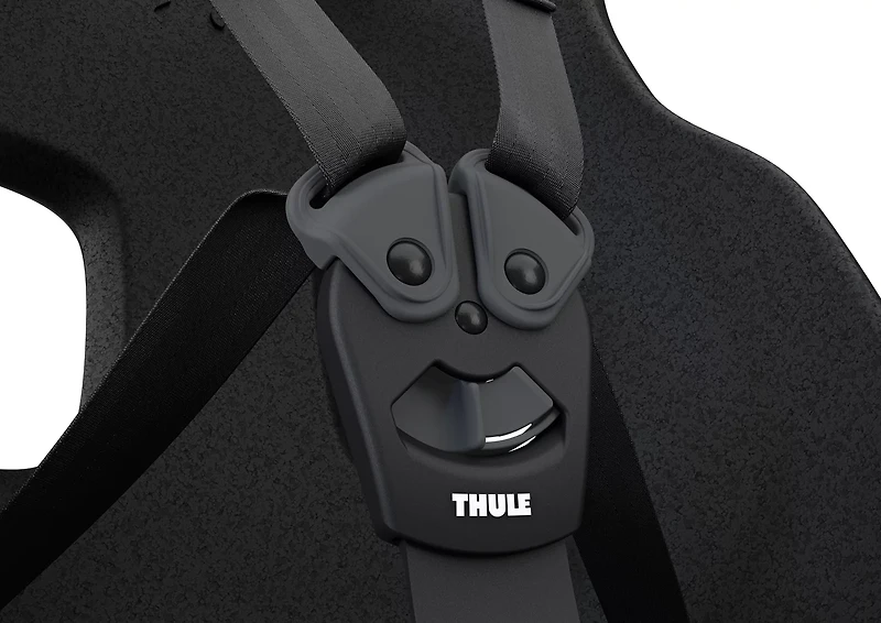 Thule Yepp Nexxt Frame Mount Child Bike Seat