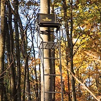 Rivers Edge Bowman LS 1-Man Ladder Tree Stand