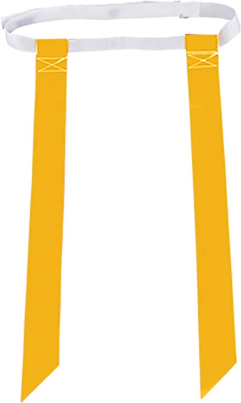 Champro Football Flag and Cone Set