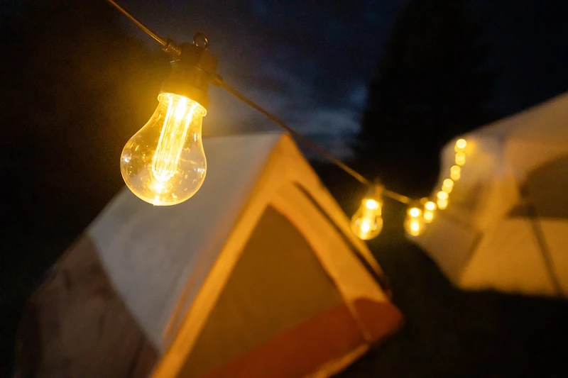 Brightz Edison Bulb Plug-In String Lights