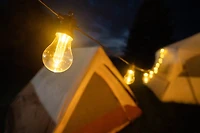 Brightz Edison Bulb Plug-In String Lights