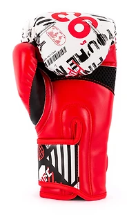 UFC Youth Made Boxing Gloves