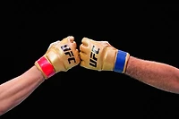 UFC Official 5E Champ Fight Gloves