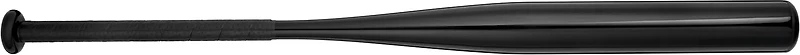 Mizuno CRBN1 Training Fast-Pitch Softball Bat