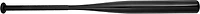 Mizuno CRBN1 Training Fast-Pitch Softball Bat