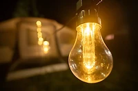 Brightz Edison Bulb Plug-In String Lights