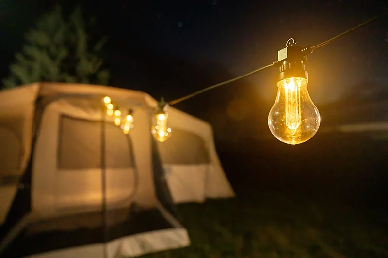 Brightz Edison Bulb Plug-In String Lights