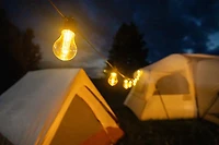 Brightz Edison Bulb Plug-In String Lights